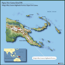 Load image into Gallery viewer, Papua New Guinea Kimel Estate